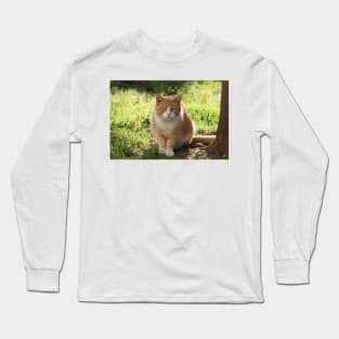 Neighborhood Visitor Cat Portrait Long Sleeve T-Shirt